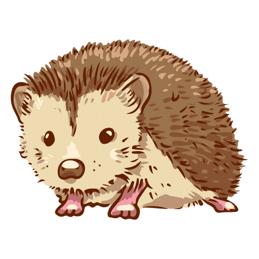 hedgehog animal png