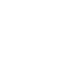 Nirvana Logo