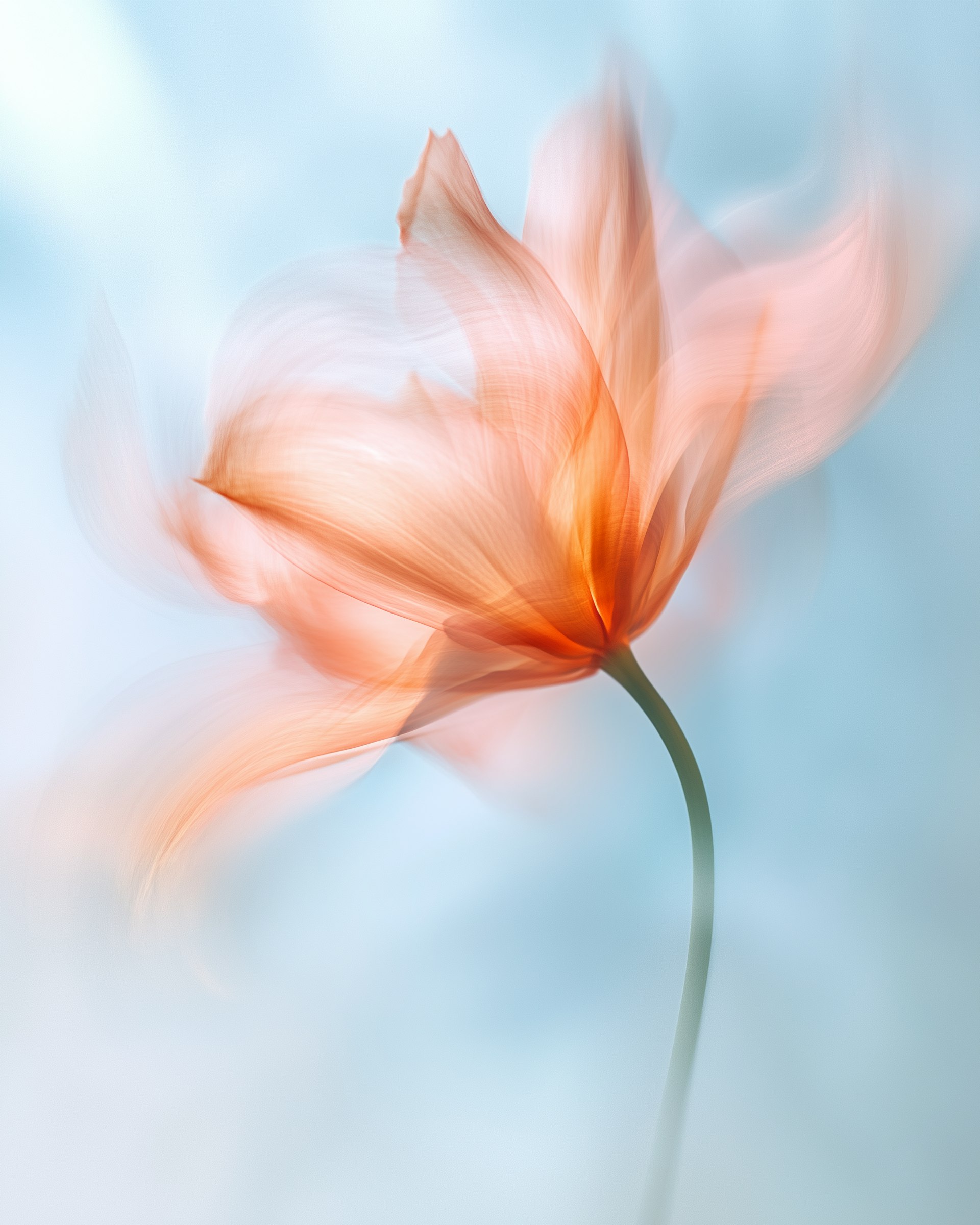 Abstract flower