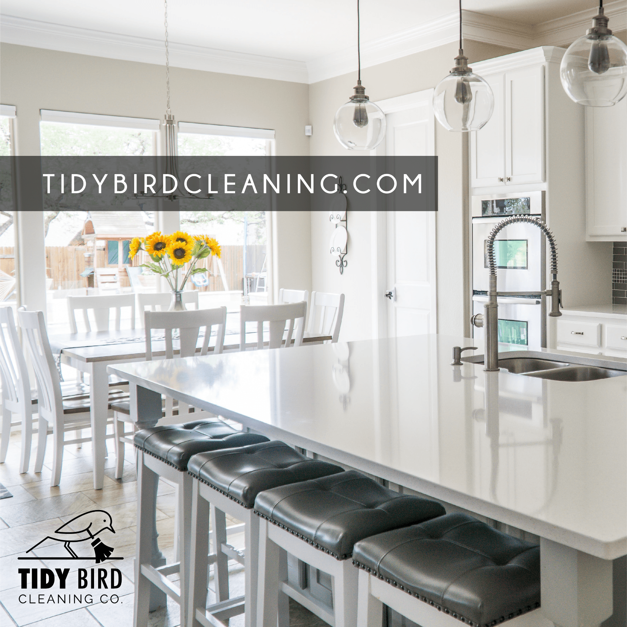 tidy bird cleaning burlington oakville