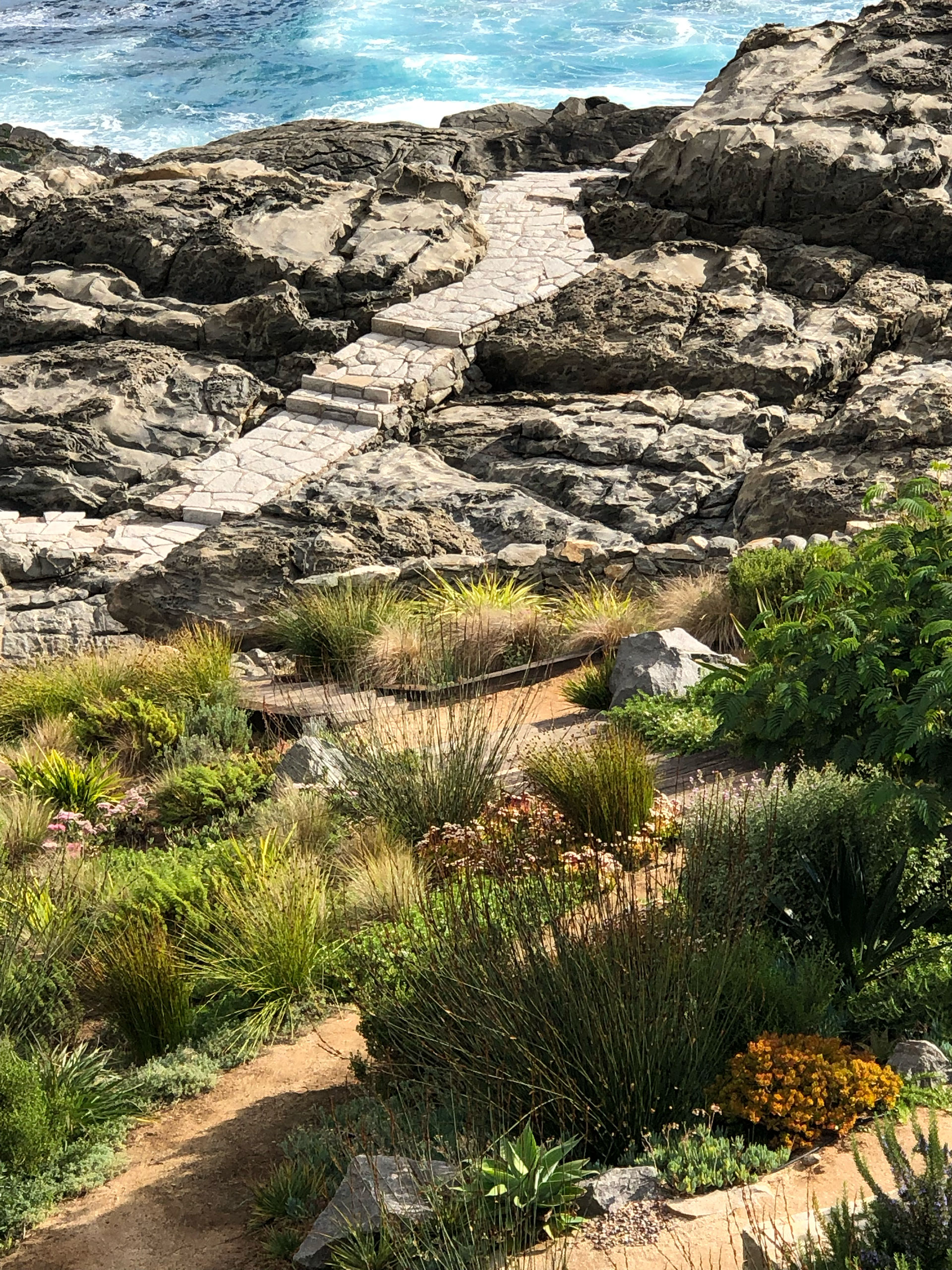 Carola Page Punta Pite Casa Nico