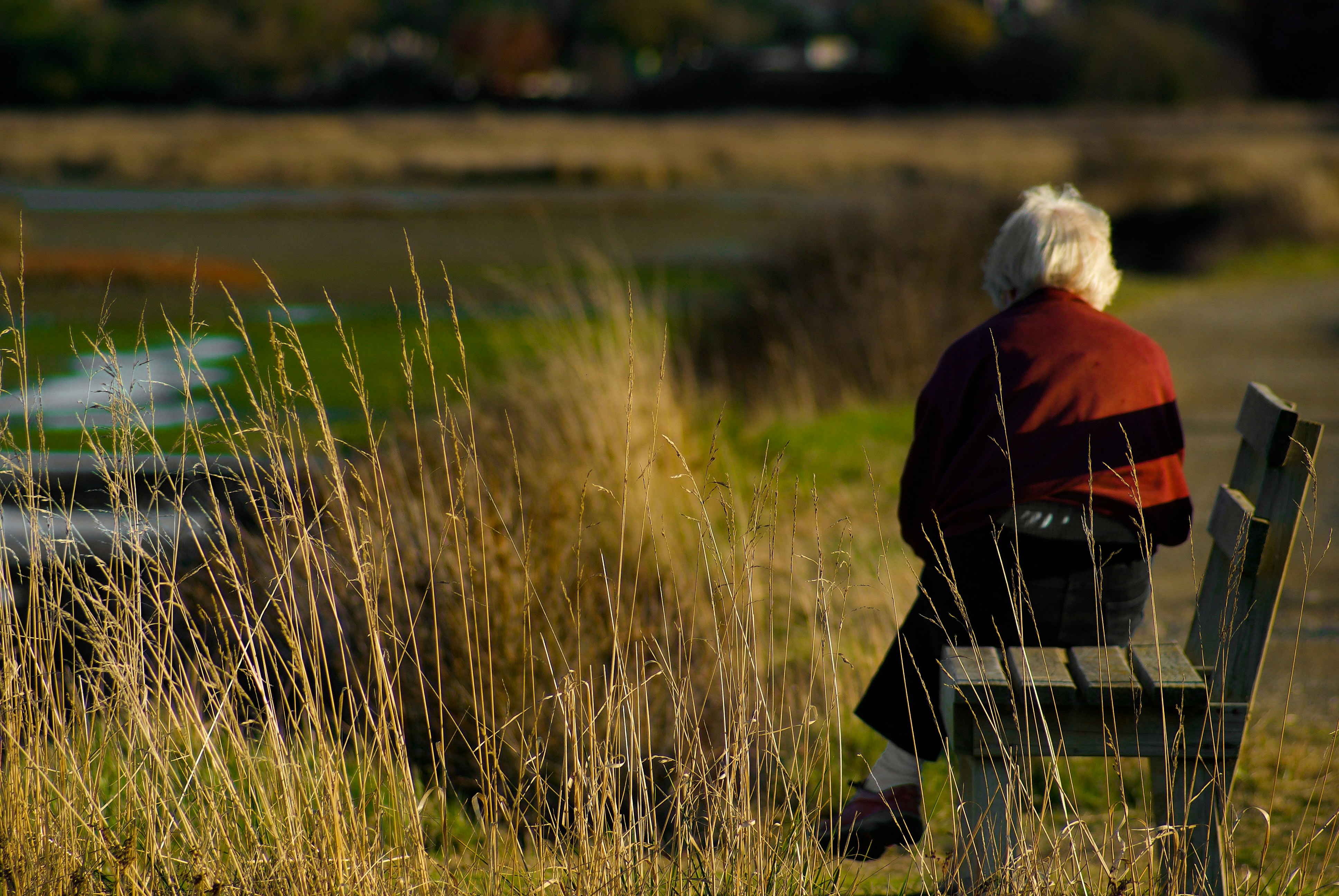 person in black and red jacket sitting on green grass field during daytime