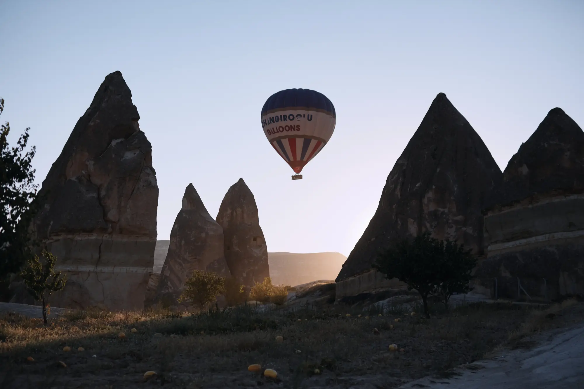 Hot air balloons rising over a desert wedding scene – Wedding Photography by Eva Sitko