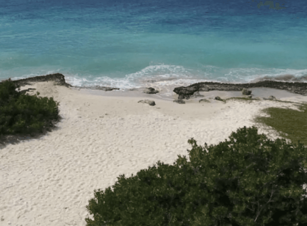 Beach of Vista Blue Bonaire