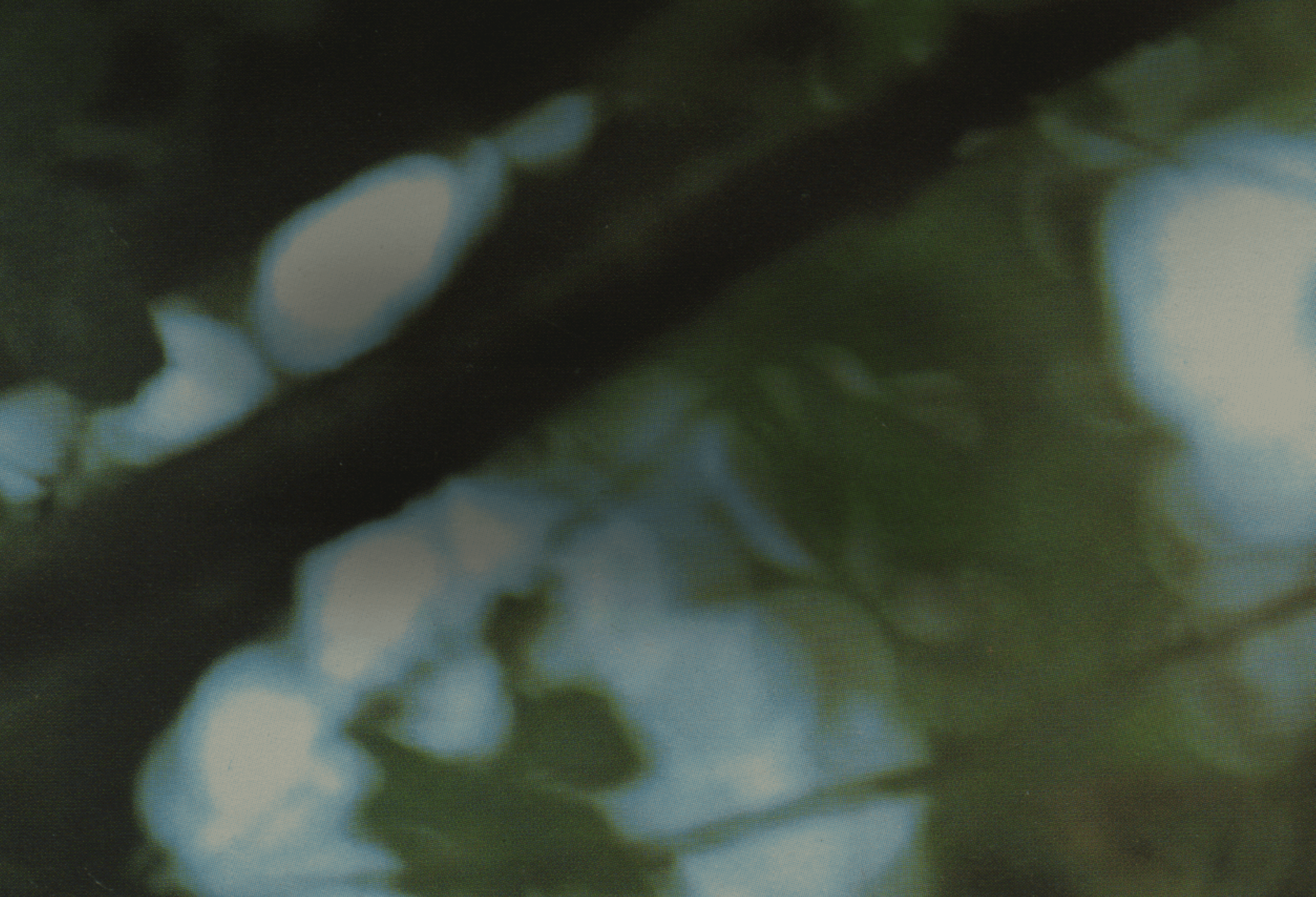 carrollton ga websites