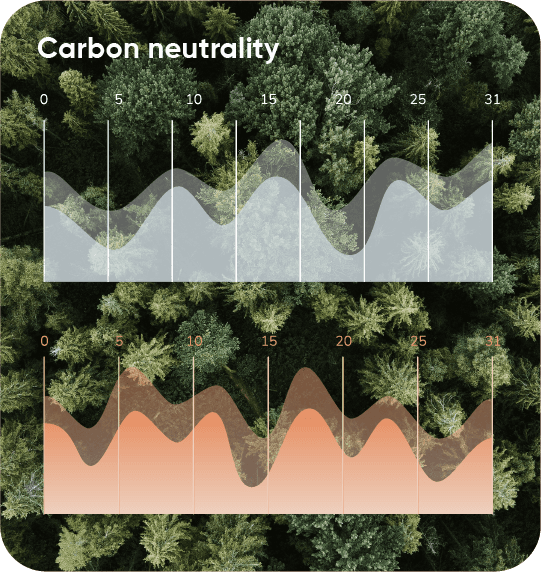 Top-down view of a dense, lush forest with a variety of evergreen trees, symbolizing natural resources and environmental sustainability