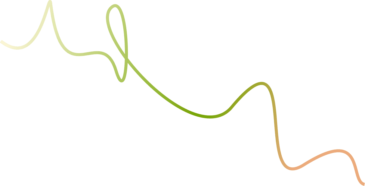 Light image