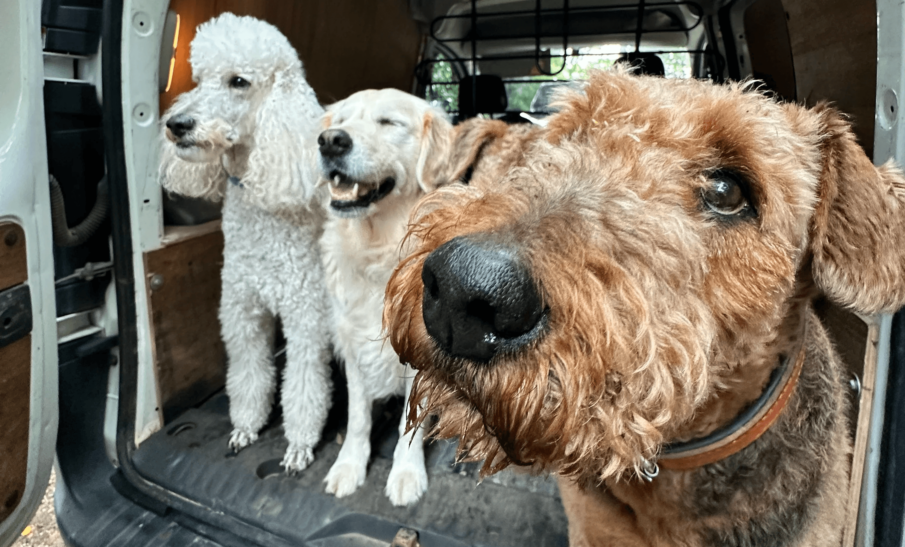 Una&Co Photo Transport