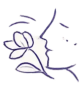 Icono ilustrativo de cuidado integral de la piel y tratamientos faciales personalizados.