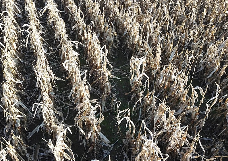 Pohled na škody z výšky – analýza pro SZIF a pojišťovny