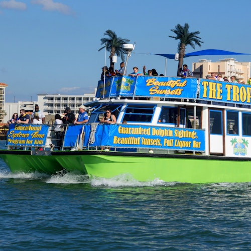 Dolphin Exploration Cruise