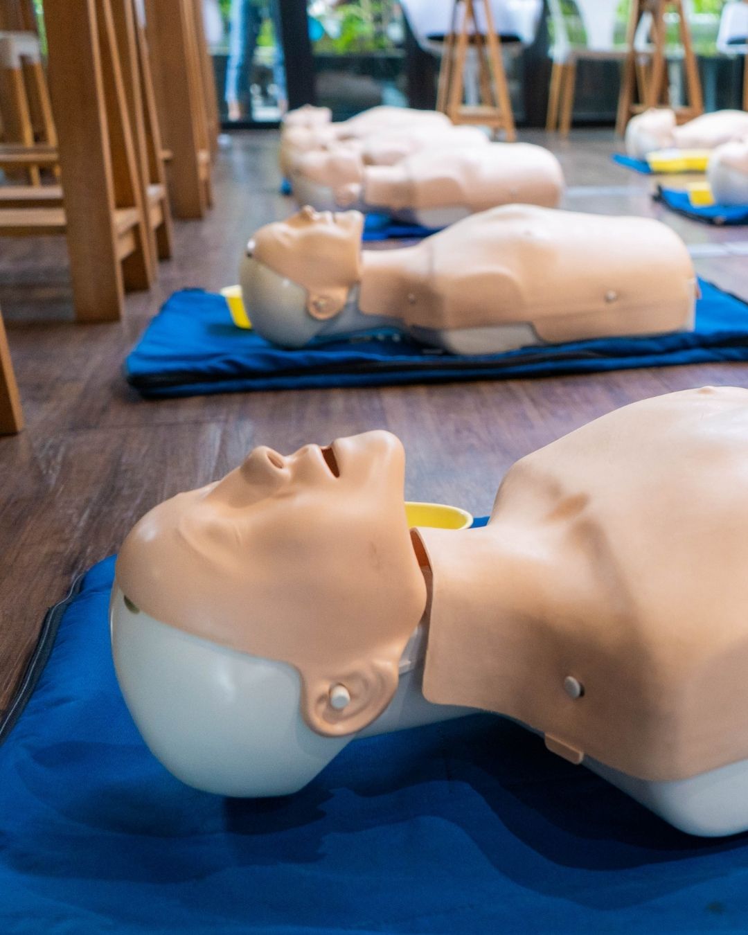 First Aid / CPR Manikins