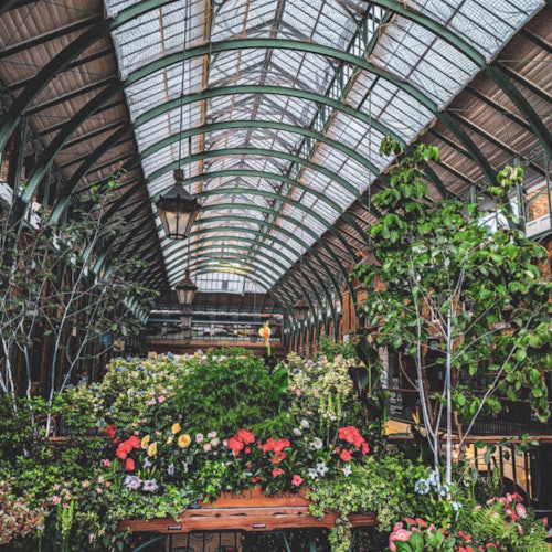 Indoor garden under a large arched glass roof with an abundance of flowering plants, trees, and hanging street lamps.