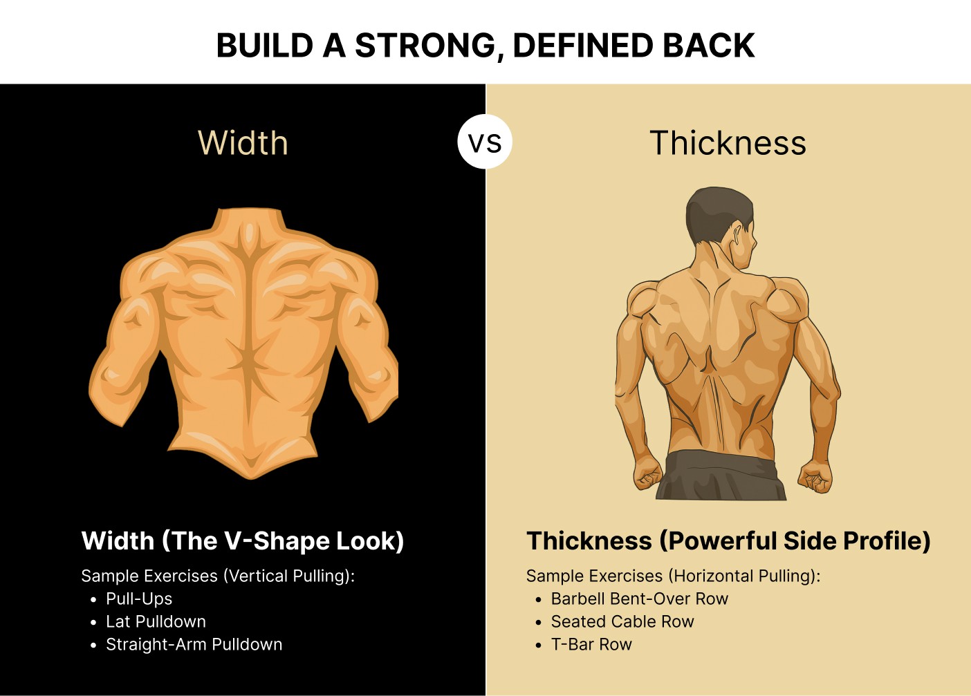 Build a Strong, Defined Back: Width vs Thickness