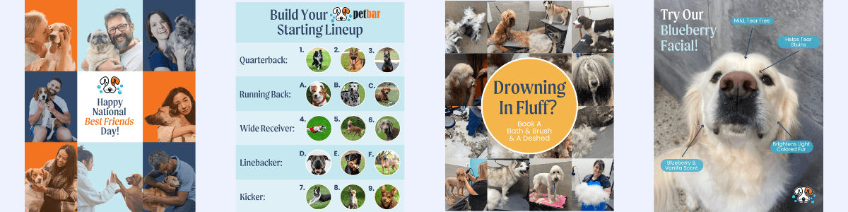 Example of social post graphic design for petbar franchisees