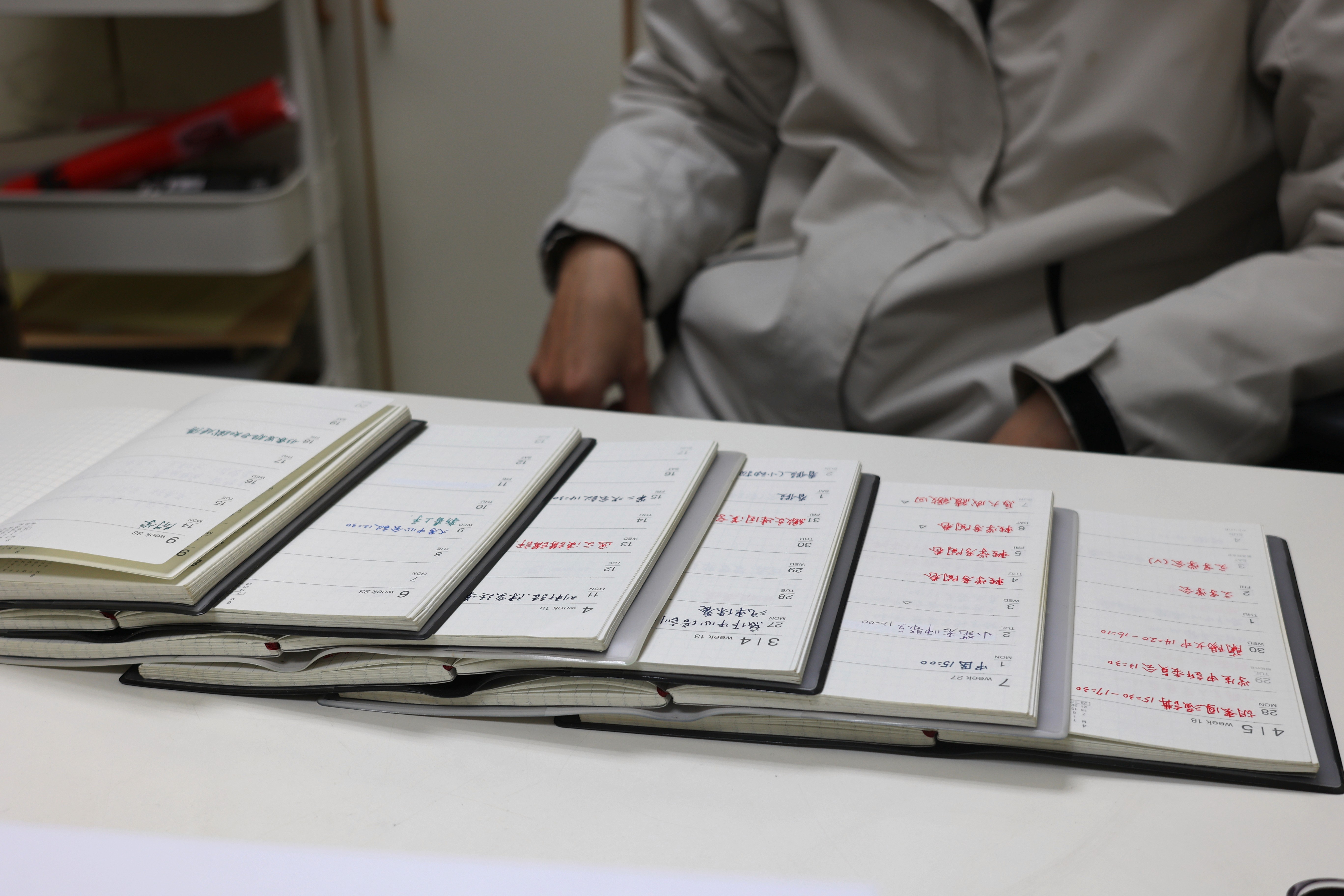 一整排庭頎老師的手寫月計畫