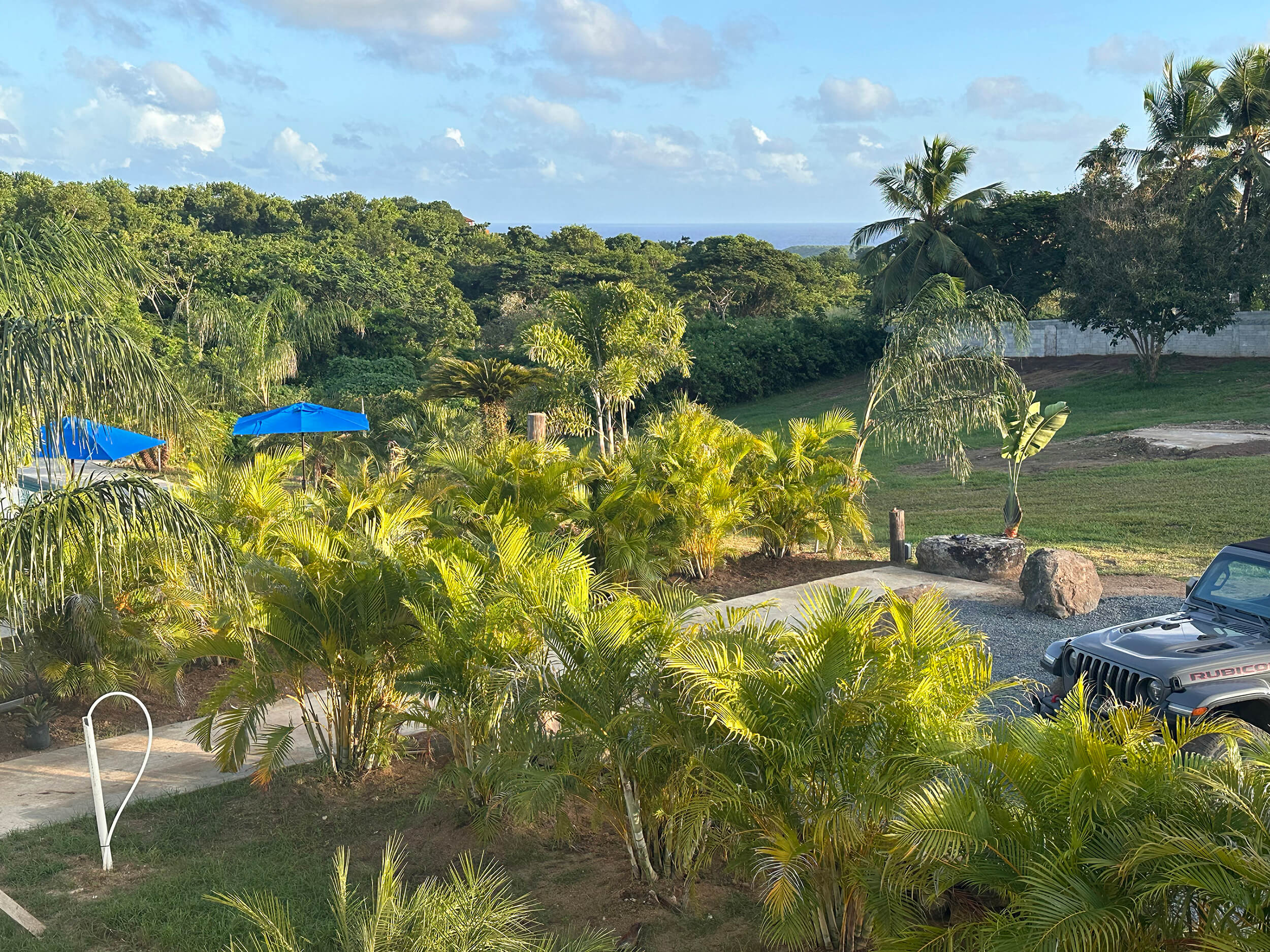 View from the terrace of Room 6 at Club Vieques, featuring lush greenery and expansive outdoor spaces.