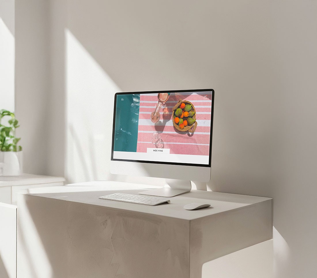 Vue home de la page vins