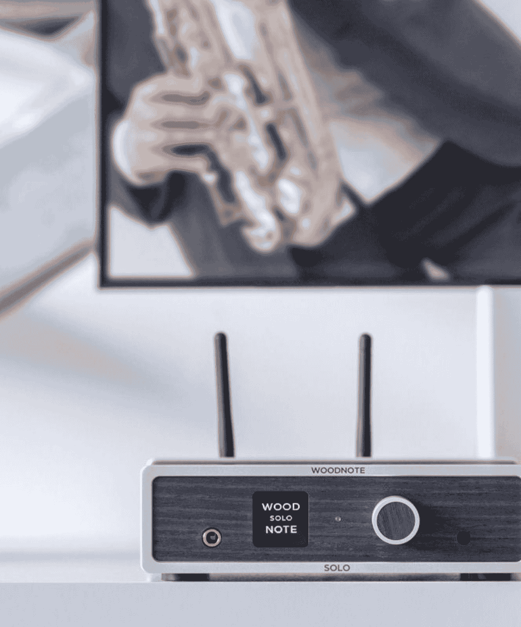 Lindemann WoodNote Solo lifetyle 1 - LE STUDIO HIFI