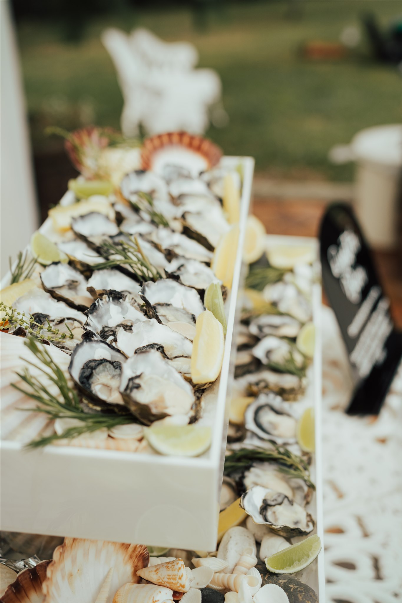 Oyster Bar at an outdoor wedding