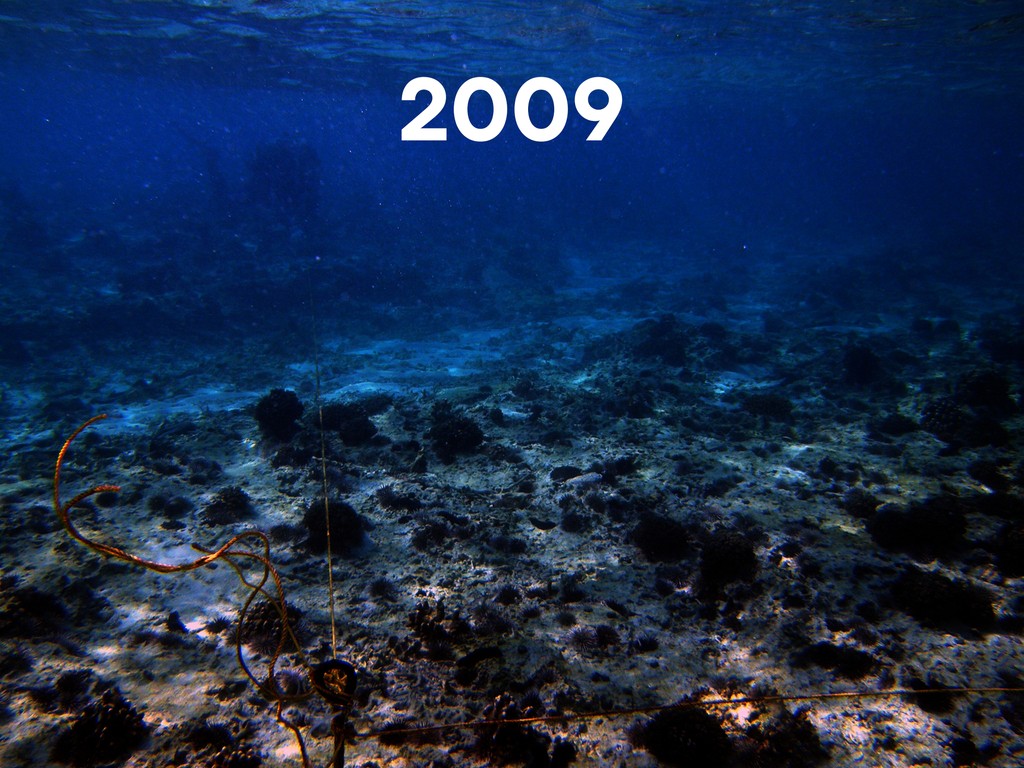 Sea Seed