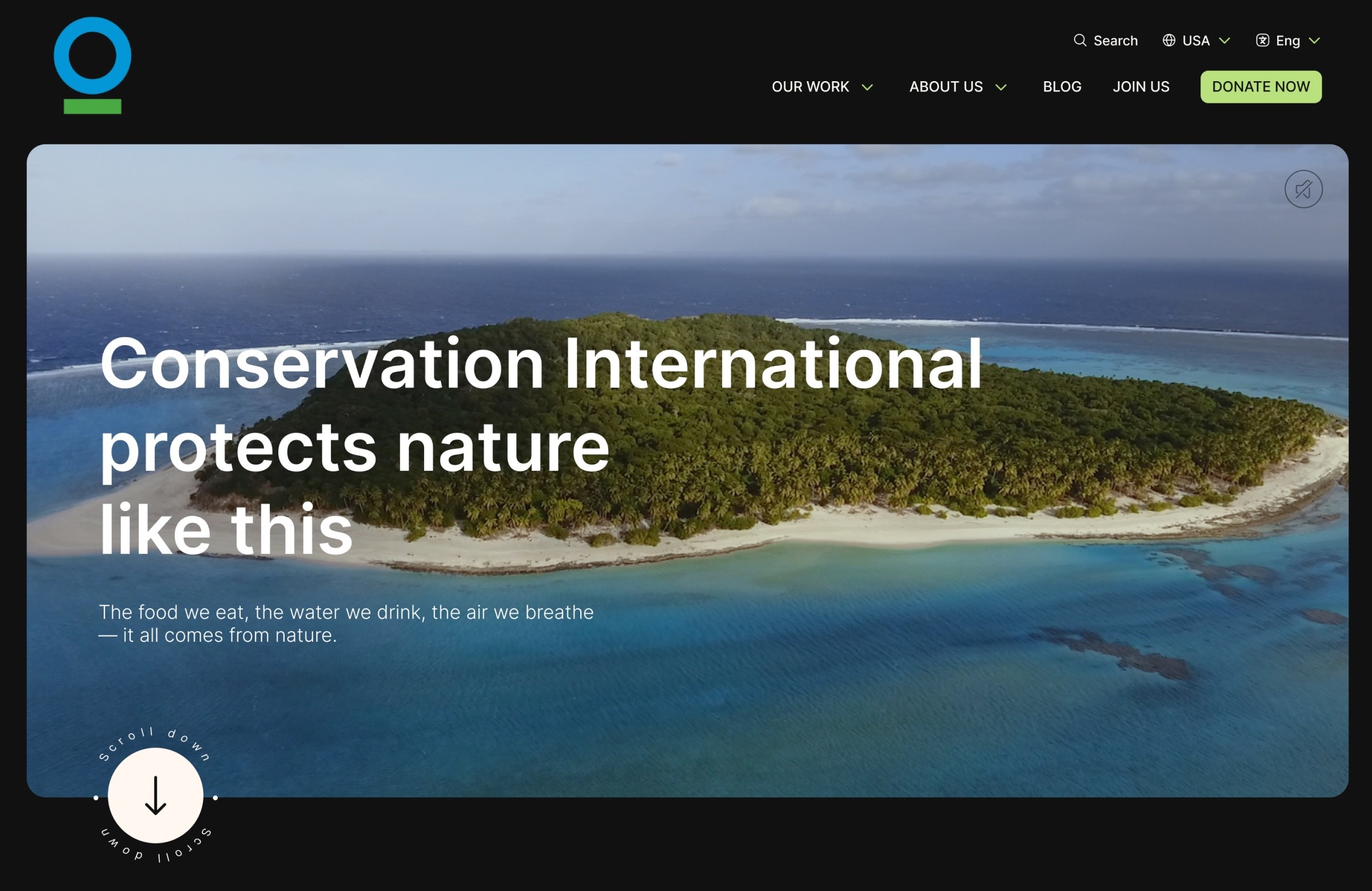 Hero section of conservation international