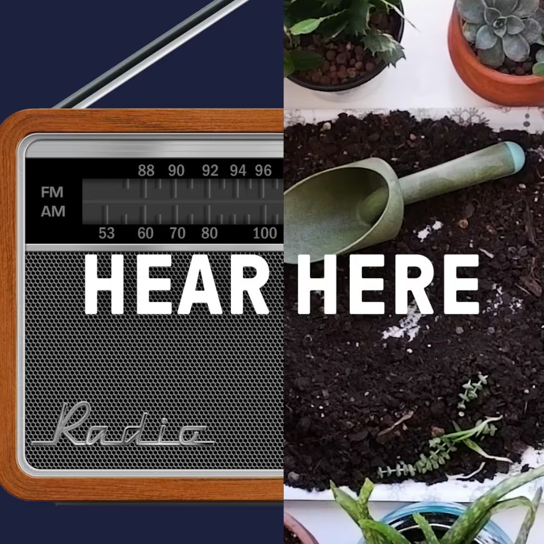 TuneIn "Hear Here"