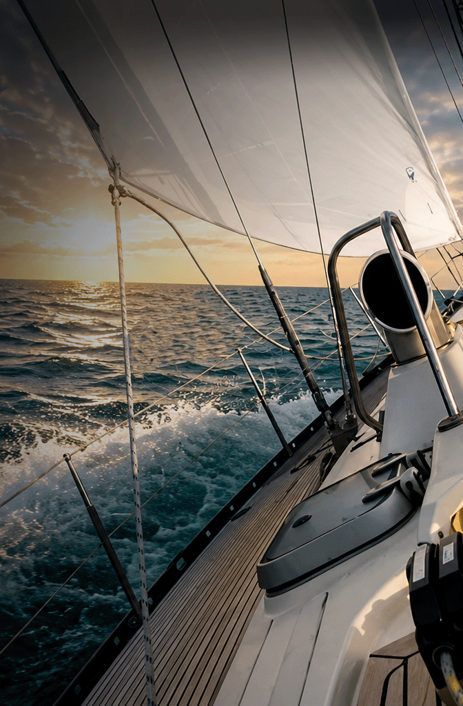 Falcon sailing