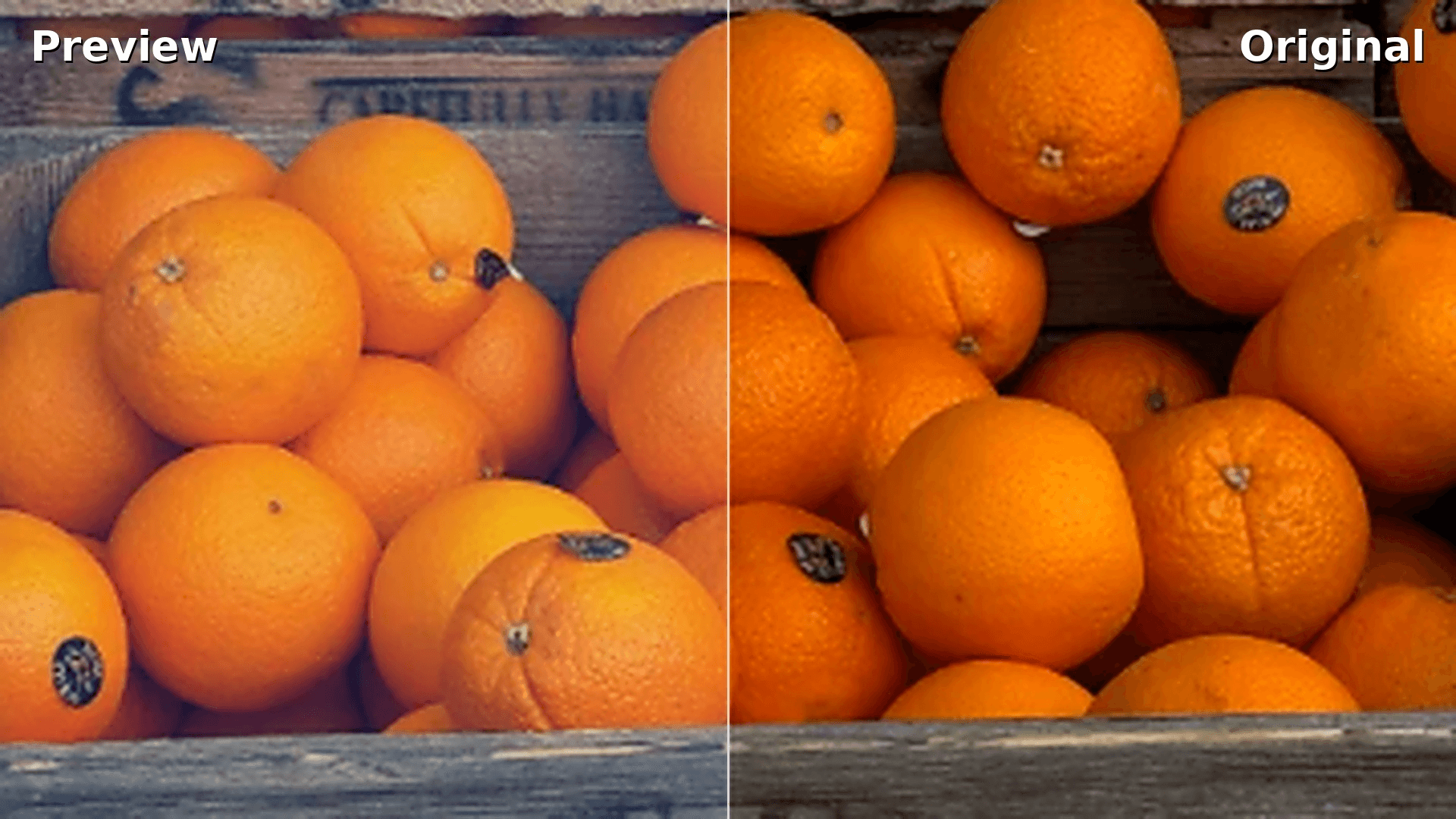 Photo edited with Retrica's WALDEN preset, showing warm muted tones and a faded, painterly film look