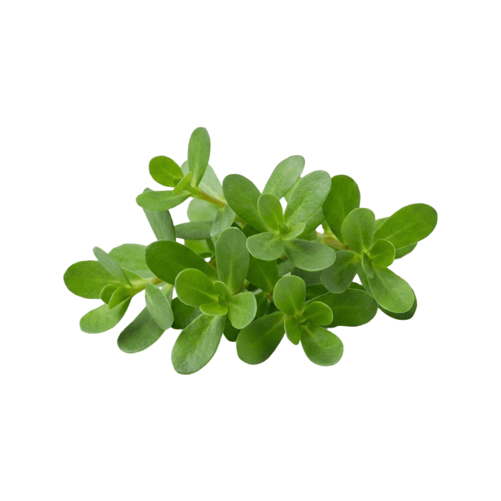 Clear plastic cup with red liquid on a red background