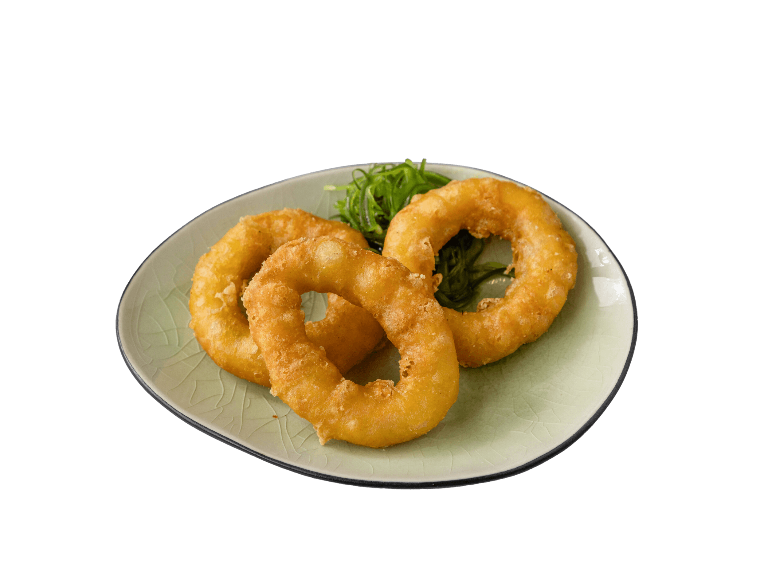 Dragon roll zalm – zalm avocado rol Deventer – Owashi Sushi