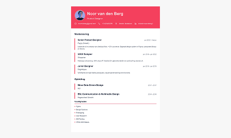 Voorbeeld timeline design CV template