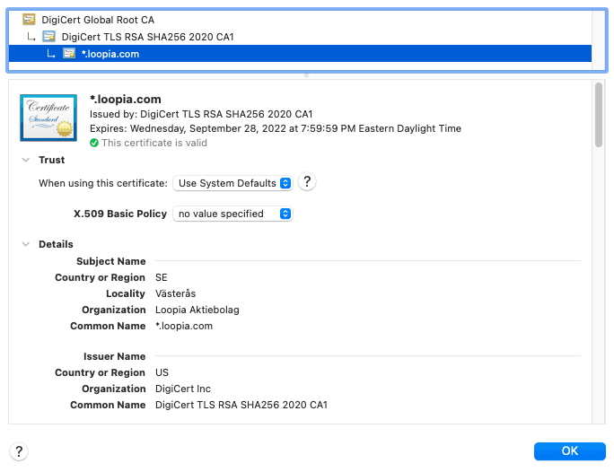 A screenshot of checking the security of a domain.