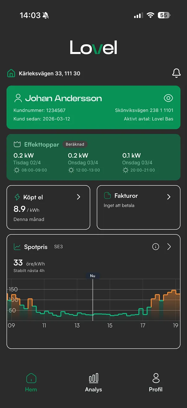 Lovel-appen visar din elförbrukning per dag