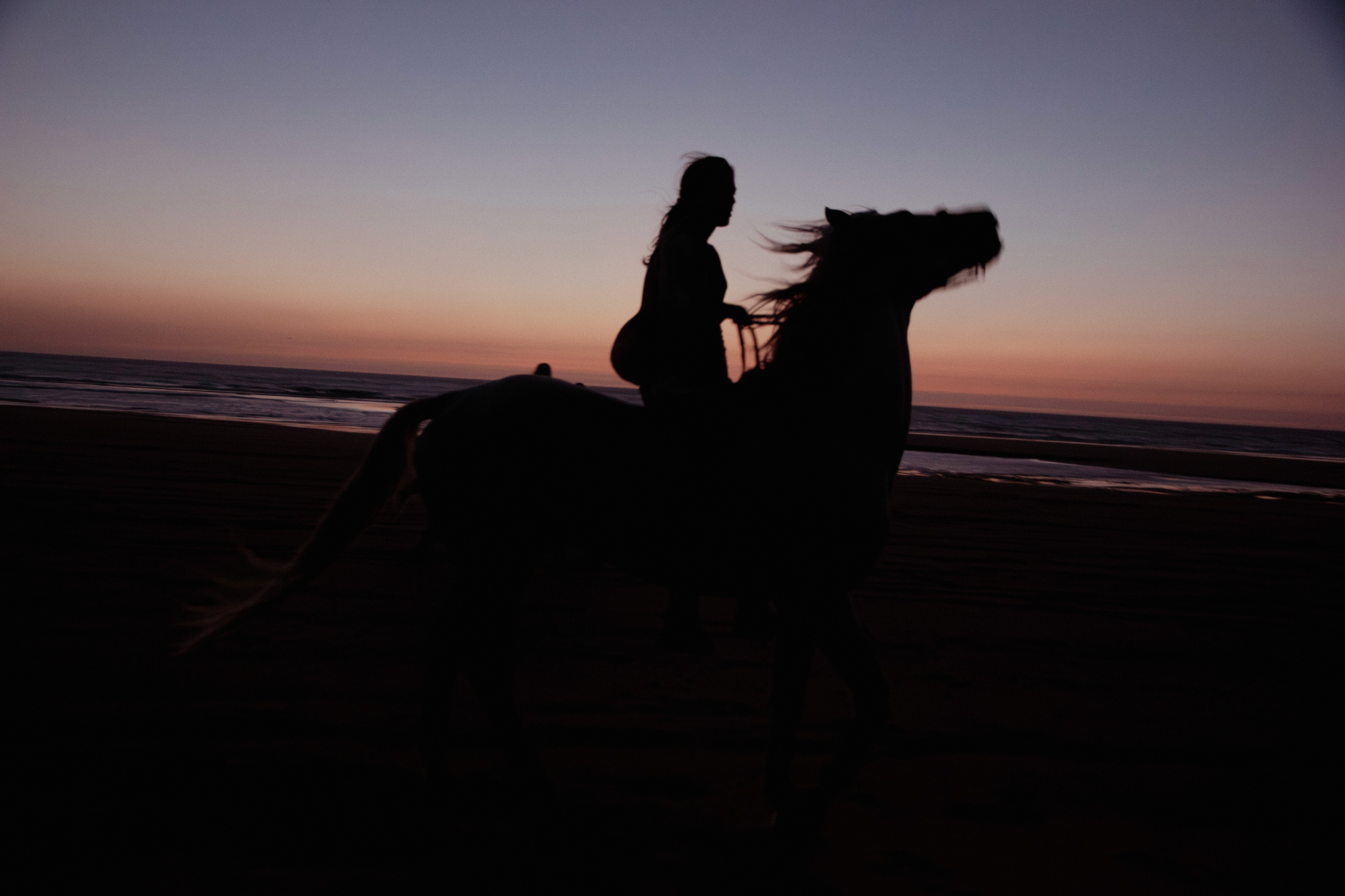 Horse Riding