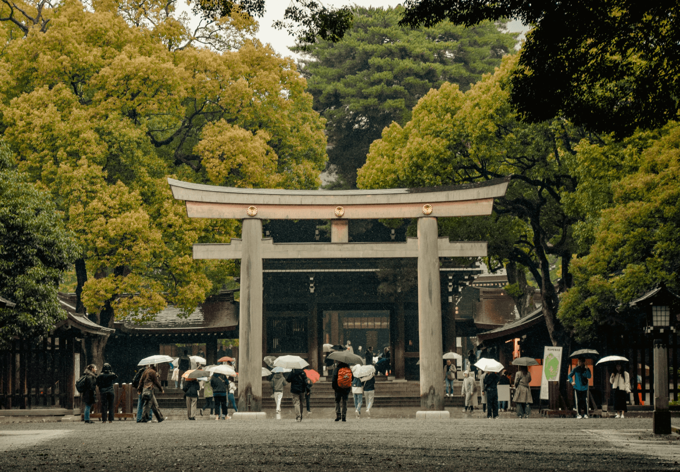 a gate for Meiji shrine - photo from unsplash.com