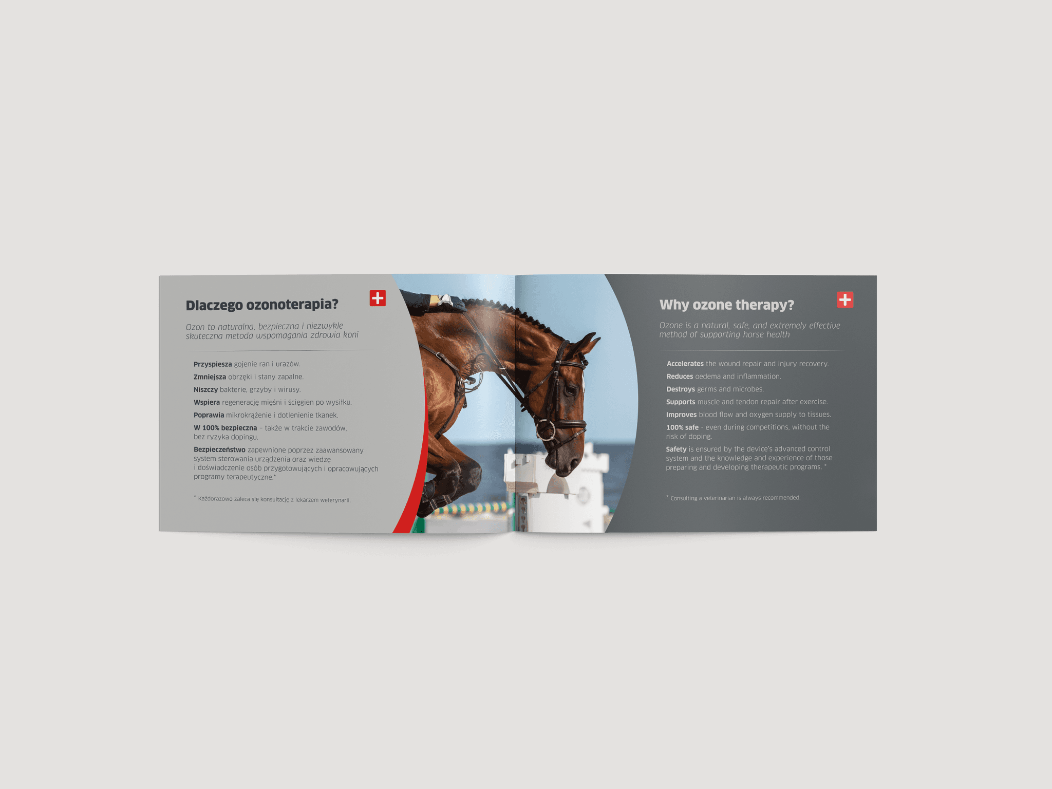 rozkładówka wyjaśniająca zalety ozonoterapii dla koni