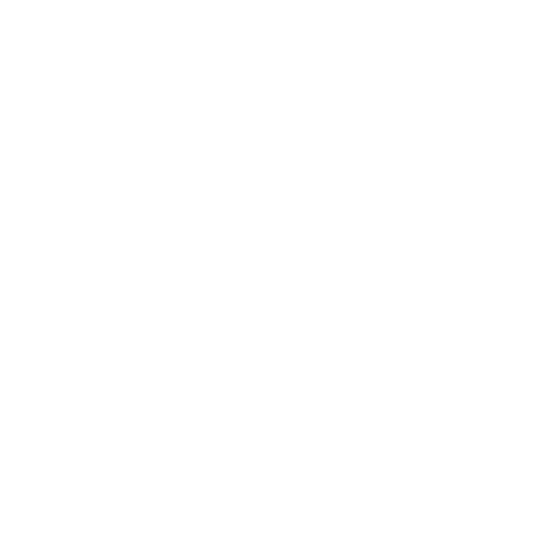 ElevenLabs Turbo v 2.5 Model