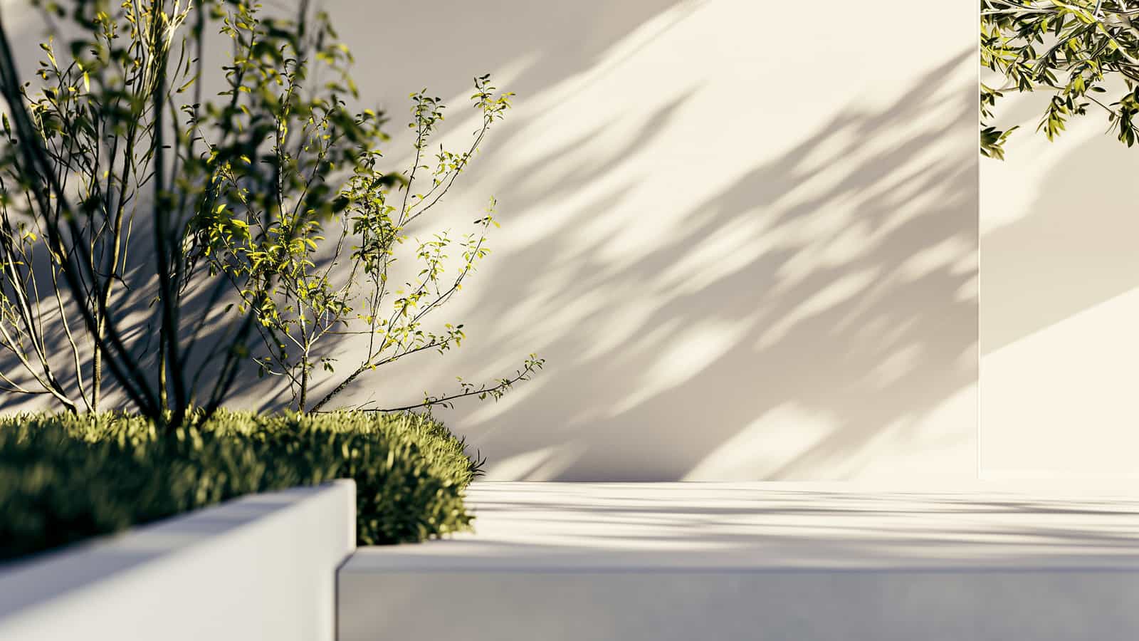 Minimal patio with plants and soft shadows, simple outdoor space design
