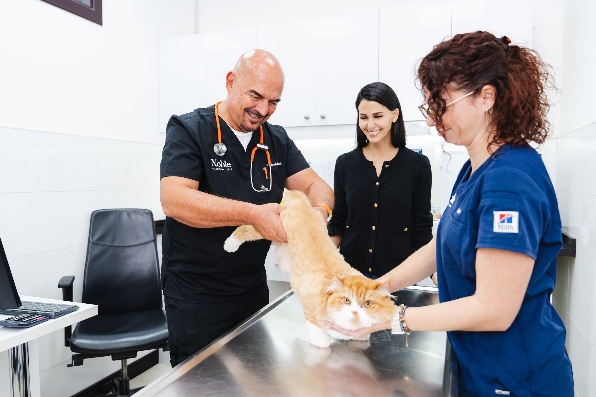 A veterinarian is checking a cats limbs. Another vet is holding the cat gently while the pet owner watches.