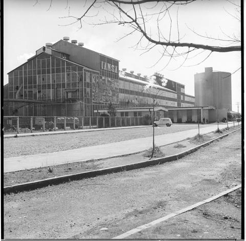 Frontis planta IANSA.