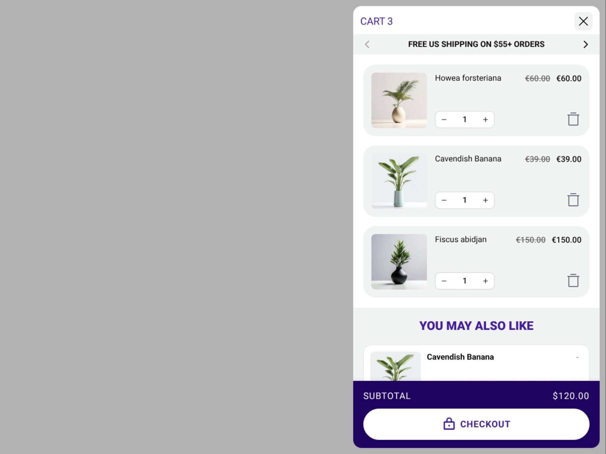 free shipping banner example