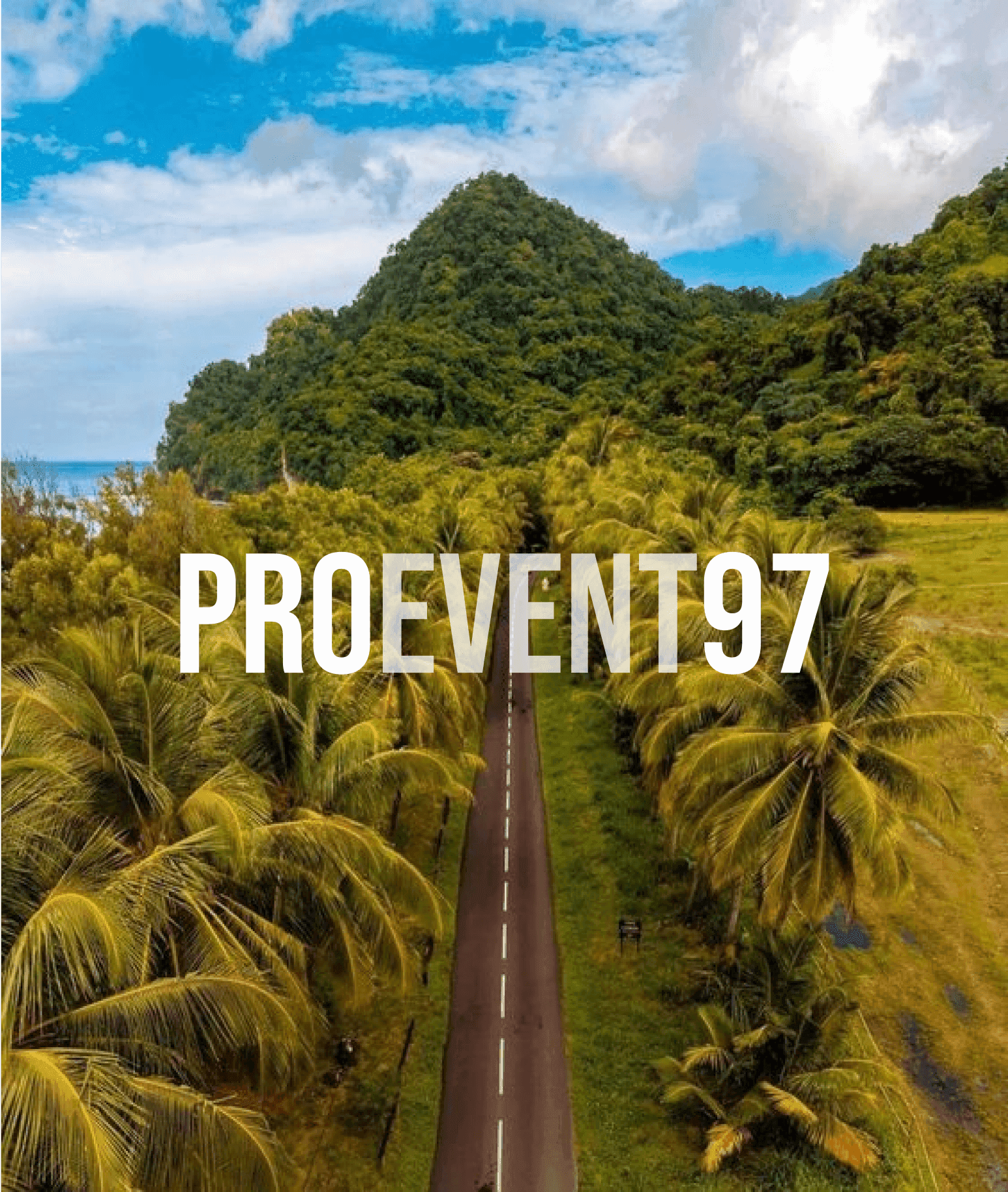 Route côtière avec des palmiers et des montagnes en arrière-plan en Martinique - événements pour professionnels sur ProEvent97.