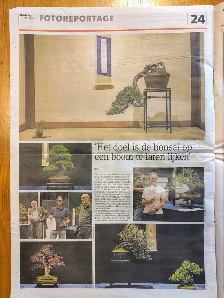 Foto van bonsai evenement in de krant