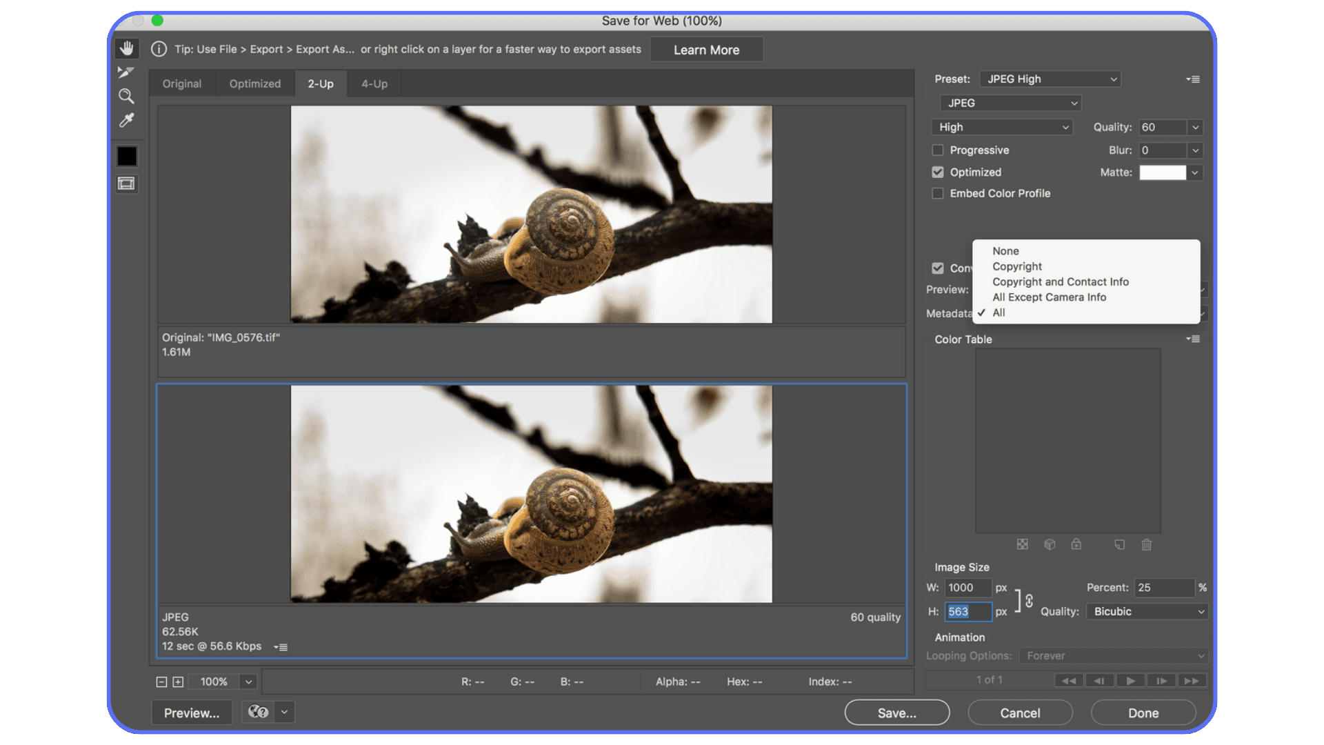 Photoshop Save for Web panel showing optimization settings for exporting a snail photograph as JPEG, including quality, metadata, and image preview.