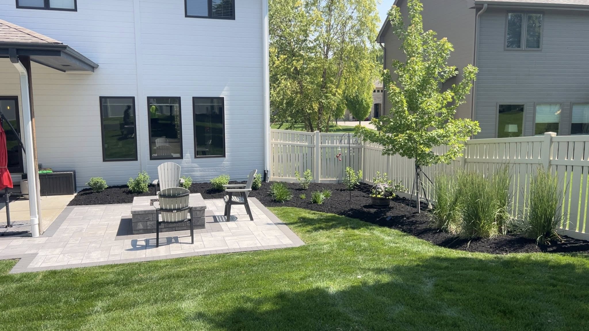 close-up of grass in a field