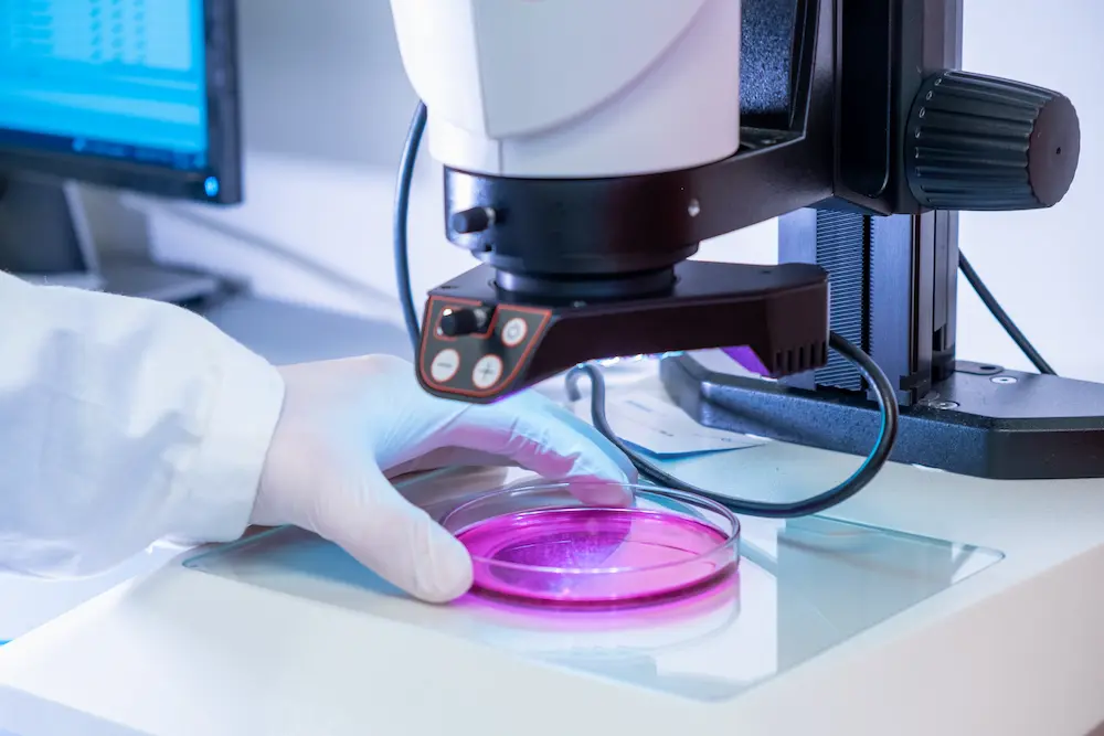 QA vs QC en la industria farmacéutica: diferencias clave