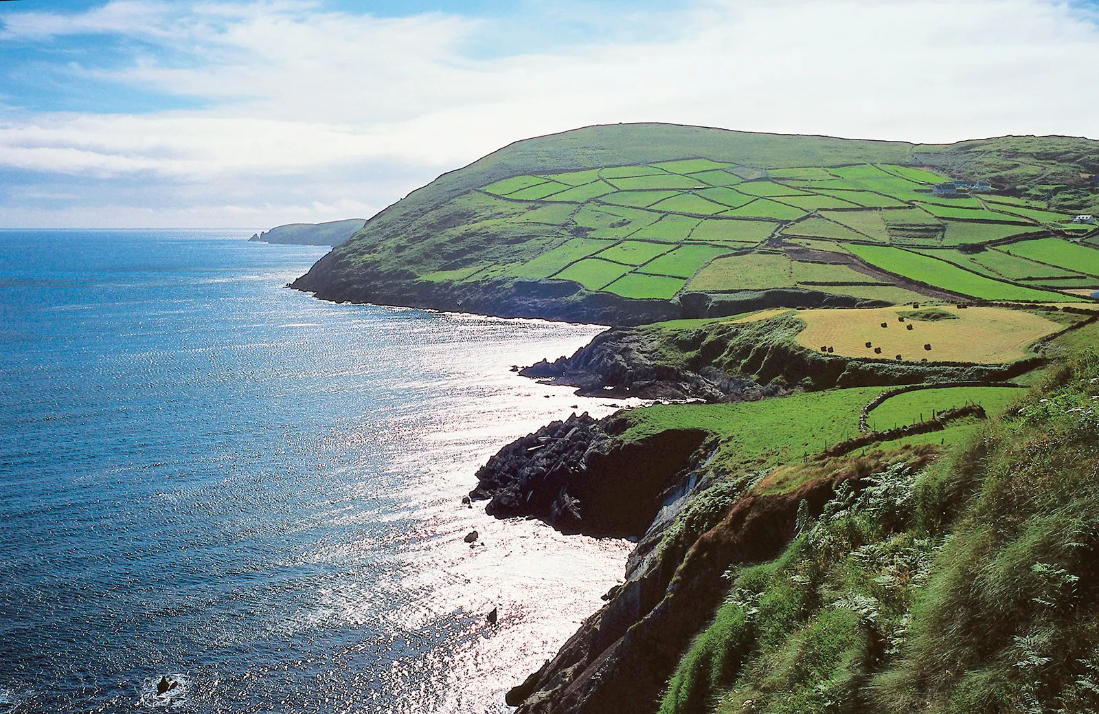 landscape-cork
