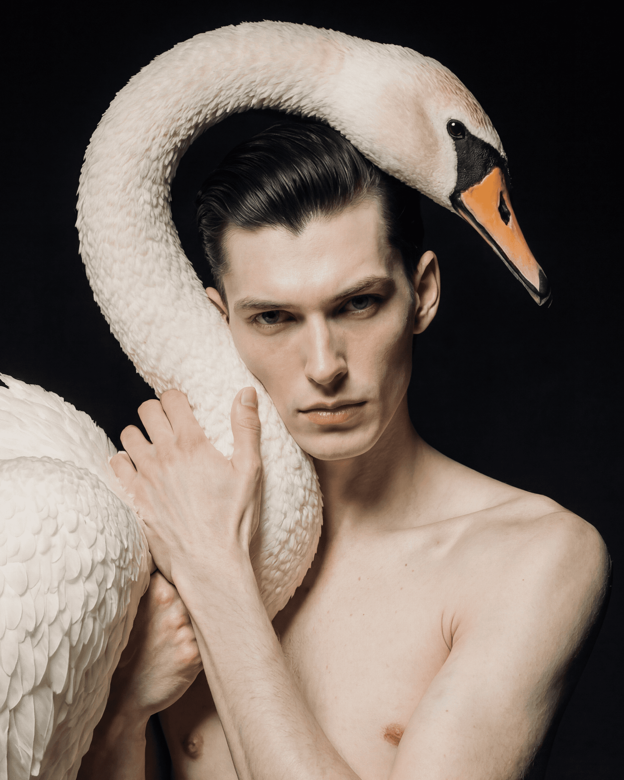 Thumbnail for SWAN, showcasing the obsidian aesthetic and organic swan forms.