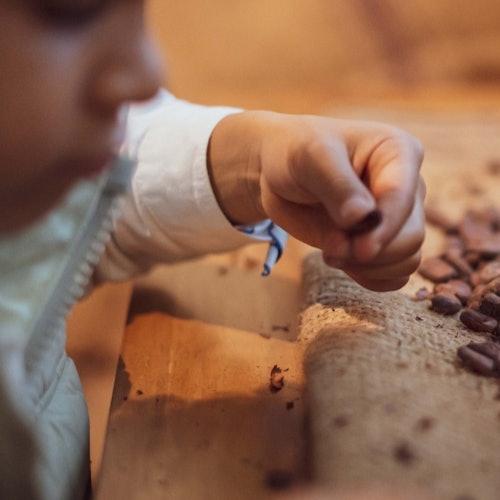 Chocolate Experience by 20|20